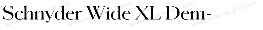 Schnyder Wide XL Dem字体转换
